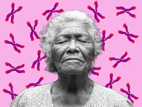 The shortening of the ends of the DNA strands in our chromosomes is one of the biomarkers for cellular ageing. © Sunaina Rao