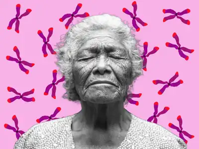 The shortening of the ends of the DNA strands in our chromosomes is one of the biomarkers for cellular ageing. © Sunaina Rao