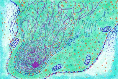 A broken cell illustrates the complexity of a single unit of our life. © Sunaina Rao.