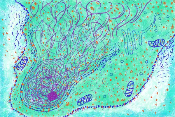 A broken cell illustrates the complexity of a single unit of our life. © Sunaina Rao.