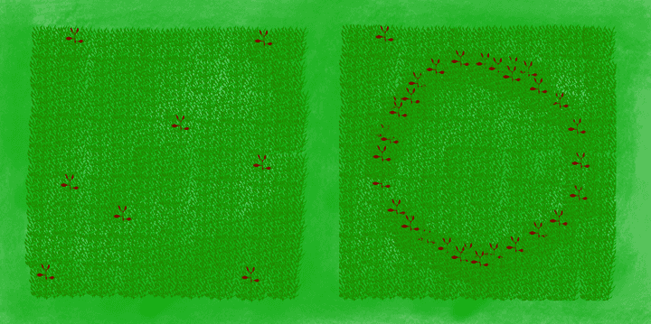 Homogeneity and isotropy