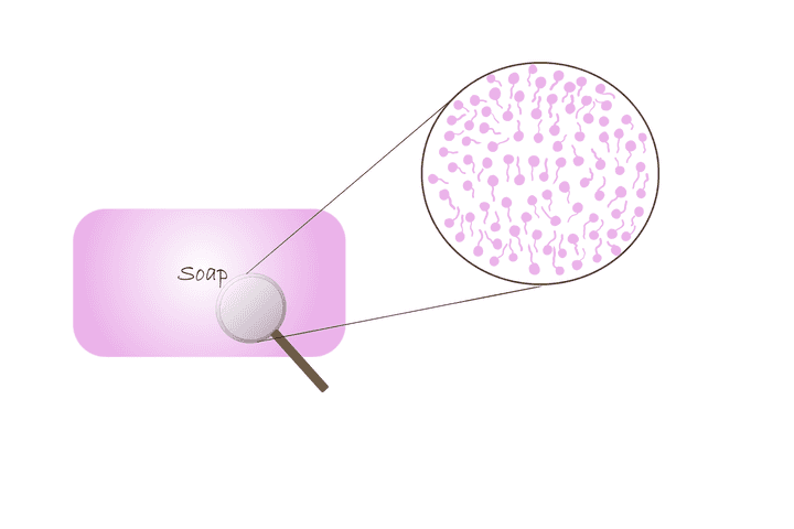 Structure of soap molecules. © Sunaina Rao. Structure of soap molecules.