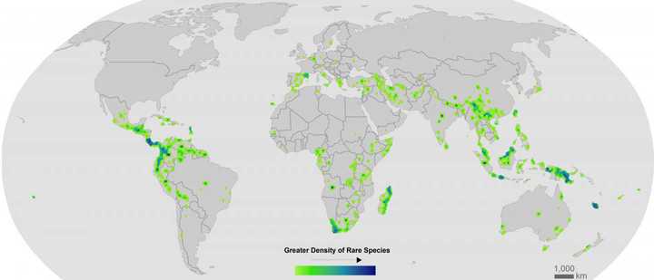 Researchers discovered that Earth’s rare plant species are clustered in relatively more climate stable regions such as the Northern Andes in South America, Costa Rica, South Africa, Madagascar and Southeast Asia. Credit: Patrick R. Roehrdanz, Moore Center for Science, Conservation International. Data from Enqist et al. Global Hotspots of Rare Plant Species