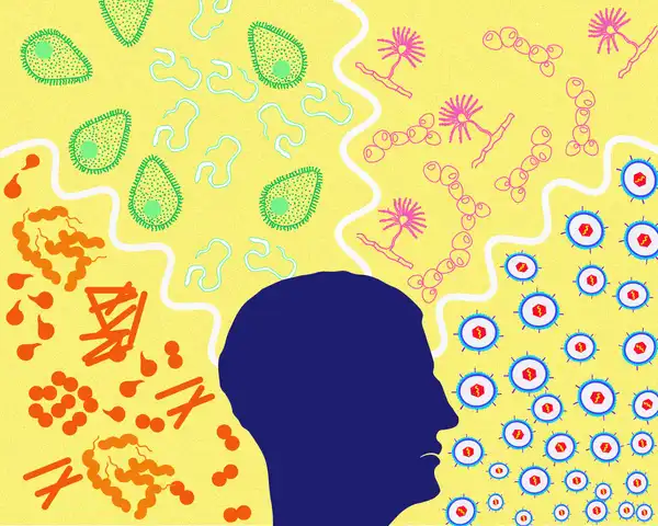 The human body is surrounded by all kinds of pathogens. © Sunaina Rao.