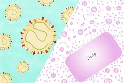 Soap and the coronavirus. © Sunaina Rao.