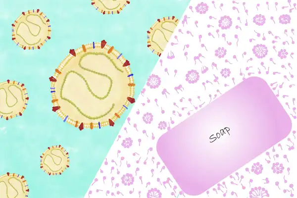 Soap and the coronavirus. © Sunaina Rao.