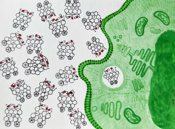 Graphene Oxide nanoparticles on wheels carrying the chemotherapeutic drug into a cancer cell. One of the Graphene oxide molecules has successfully made its way into the cell. Green: Cancer cell; Red and white: Chemotherapeutic drug. © Sunaina Rao.