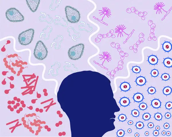 The human body is surrounded by a large variety of pathogens. © Sunaina Rao.