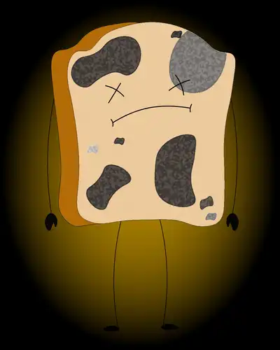 A slice of bread covered with bread mould. © Sunaina Rao