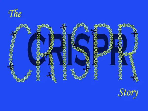 The CRISPR-Cas story. © Sunaina Rao.