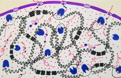 The hustling molecules in the nucleus. © Sunaina Rao