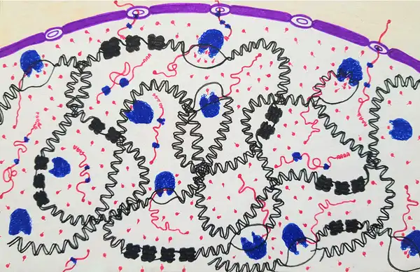 The hustling molecules in the nucleus. © Sunaina Rao