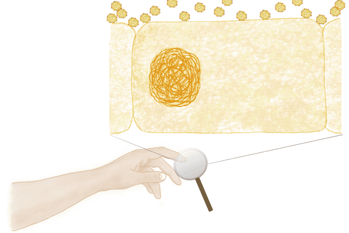 coronavirus particles settling on the cells of the skin. © Sunaina Rao. Coronavirus particles settling on the cells of the skin.